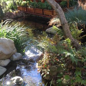 Meet your Posher, Jess